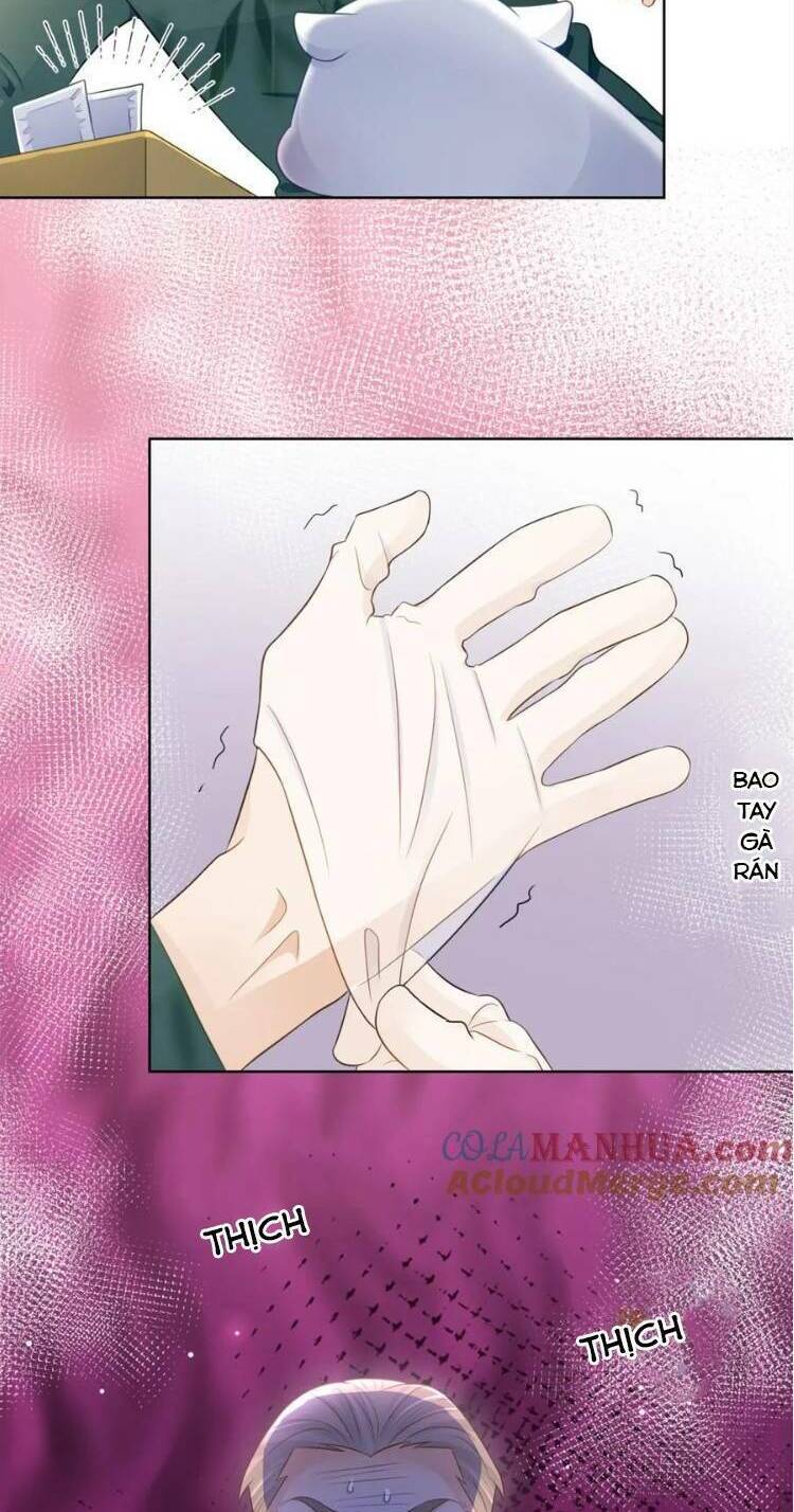 Lão Tổ Tông Vừa Xinh Vừa Ngầu: Chapter 56