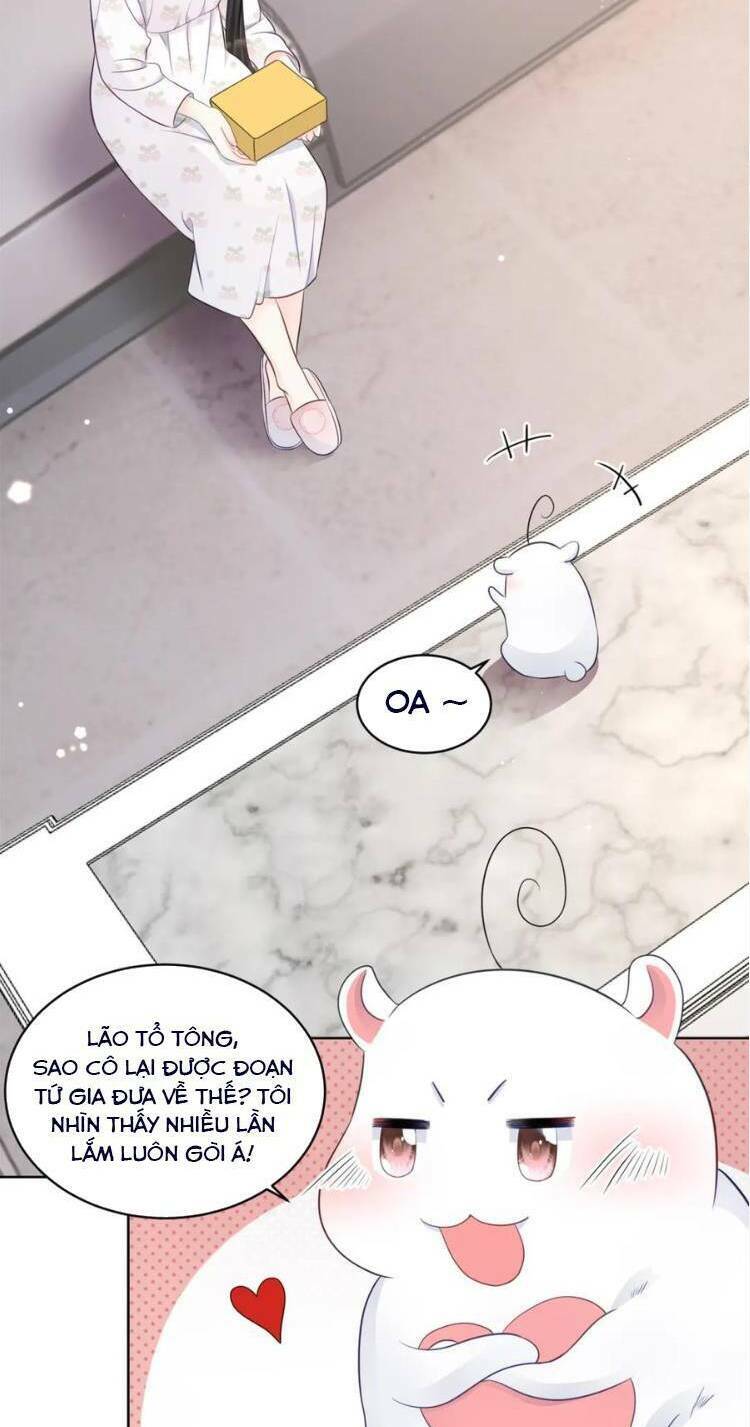 Lão Tổ Tông Vừa Xinh Vừa Ngầu: Chapter 56