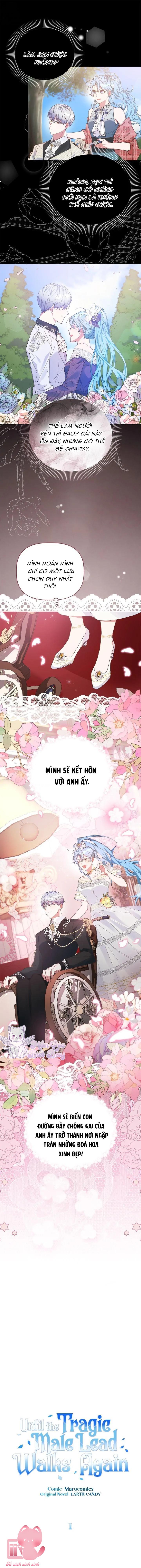 Con Đường Hoa Dành Cho Nam Chính: Con Đường Hoa Dành Cho [...] – Chap 1
