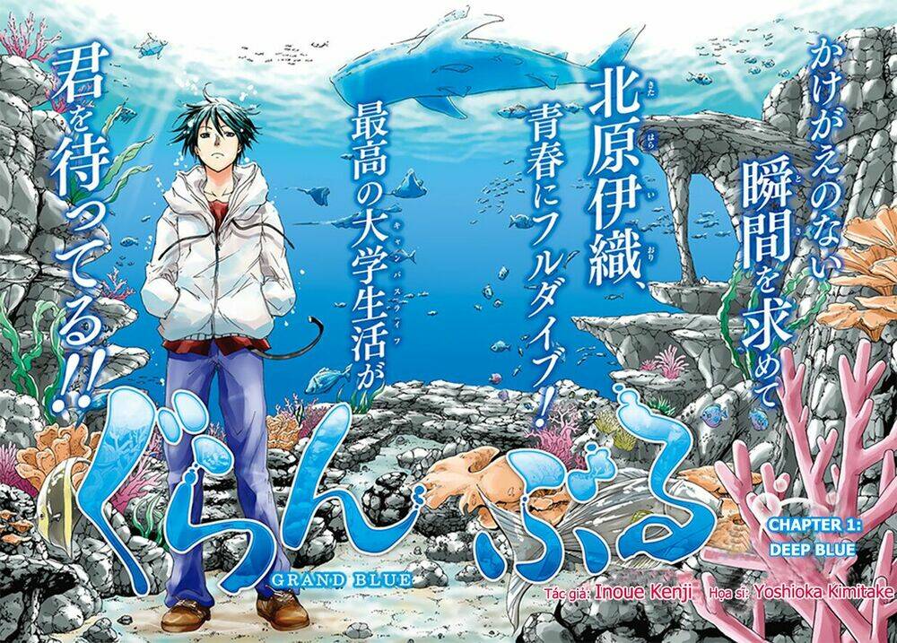 Cô Gái Thích Lặn - Grand blue: Chapter 1