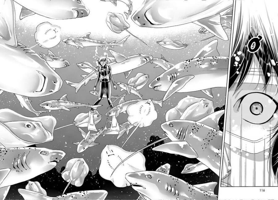 Cô Gái Thích Lặn - Grand blue: Chapter 81