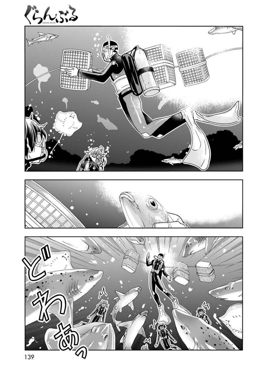 Cô Gái Thích Lặn - Grand blue: Chapter 81
