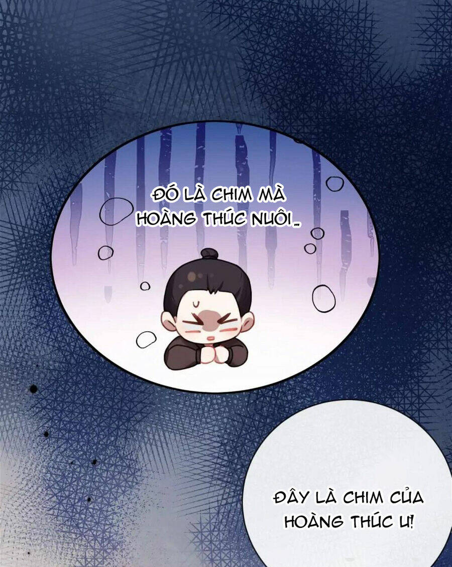 Sau Khi Công Chúa Bội Tình Bạc Nghĩa: Chapter 26