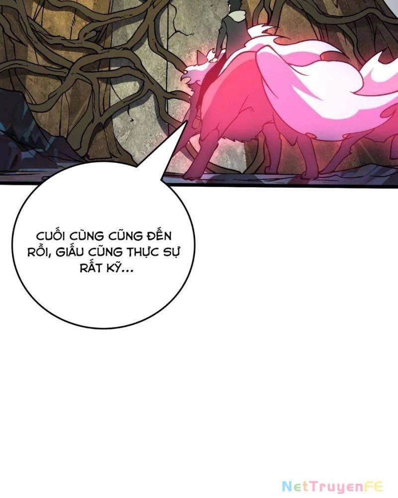 Bắt Đầu Kế Nhiệm Boss Hắc Long, Ta Vô Địch: Chapter 24