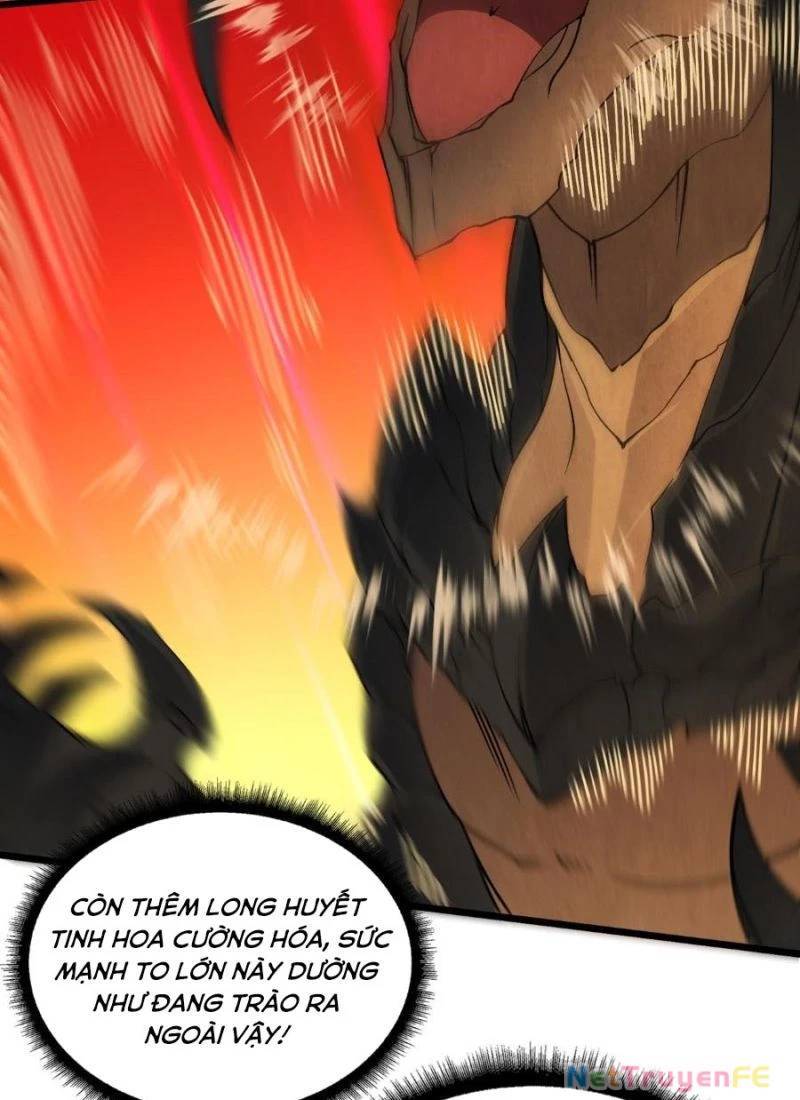 Bắt Đầu Kế Nhiệm Boss Hắc Long, Ta Vô Địch: Chapter 32