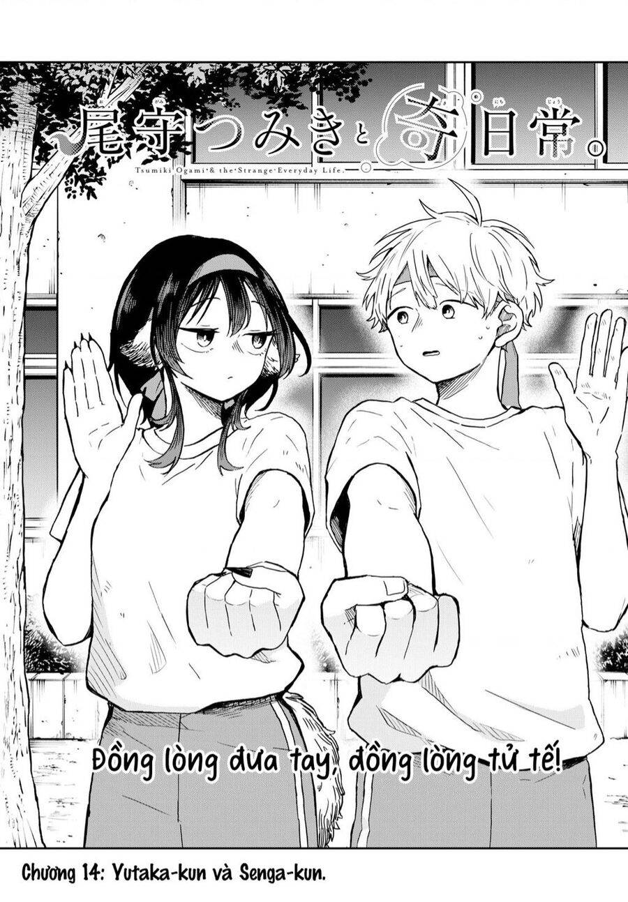 Tsumiki Ogami Và Cuộc Sống Diệu Kì!: Chapter 14