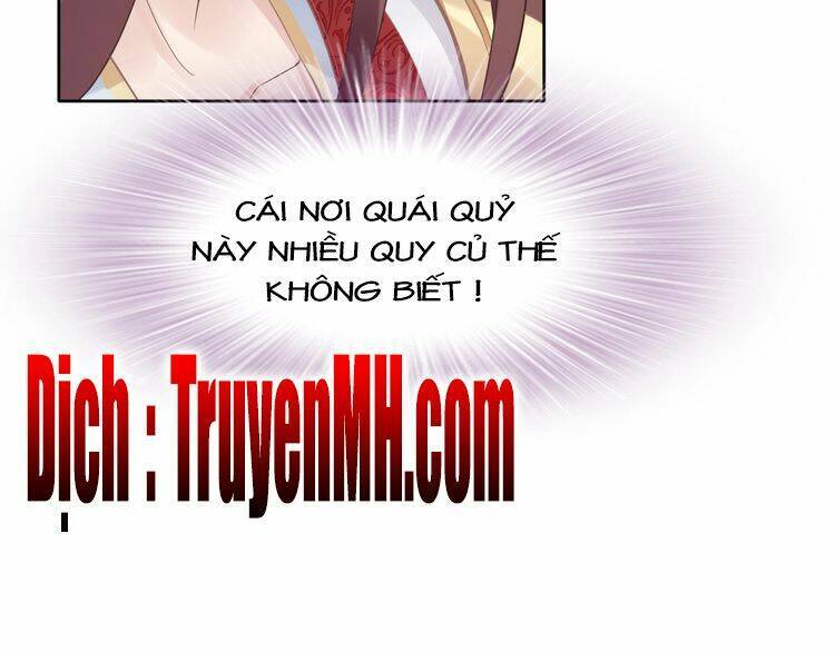 Nhất Sinh Nhất Thế Tiếu Thương Khung: Chapter 4