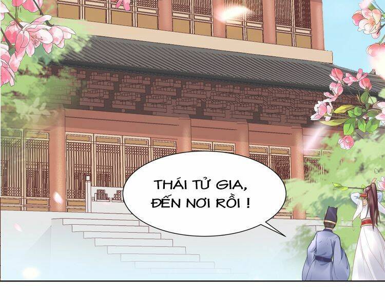 Nhất Sinh Nhất Thế Tiếu Thương Khung: Chapter 4