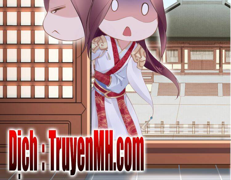Nhất Sinh Nhất Thế Tiếu Thương Khung: Chapter 4