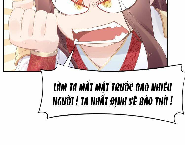 Nhất Sinh Nhất Thế Tiếu Thương Khung: Chapter 4