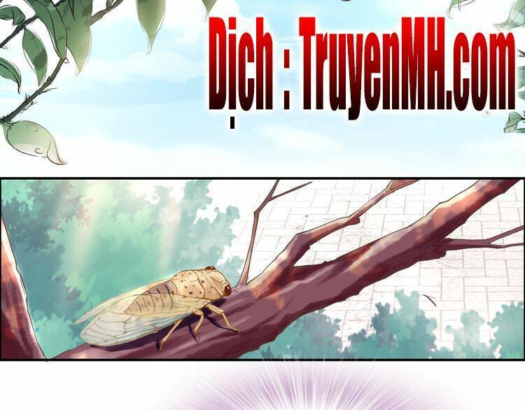 Nhất Sinh Nhất Thế Tiếu Thương Khung: Chapter 6