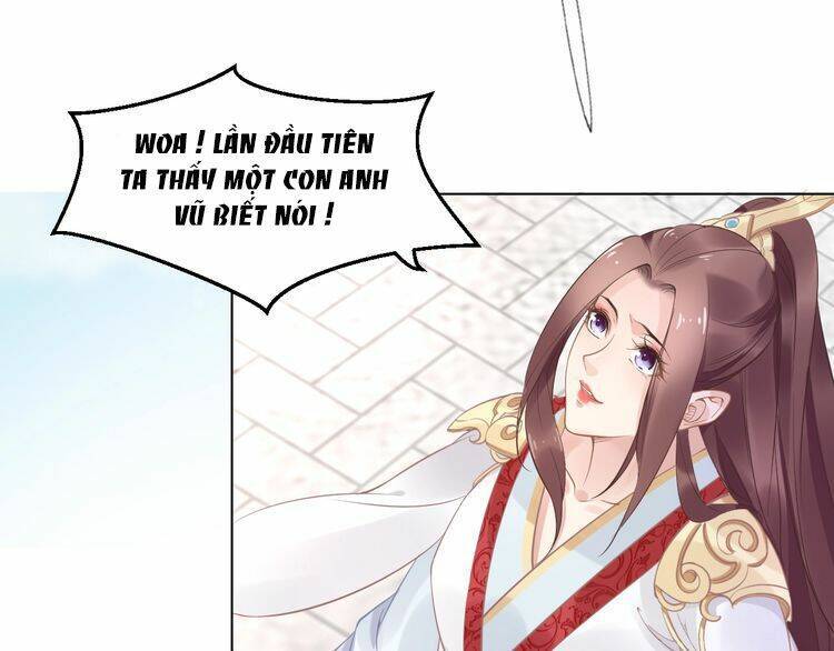 Nhất Sinh Nhất Thế Tiếu Thương Khung: Chapter 6