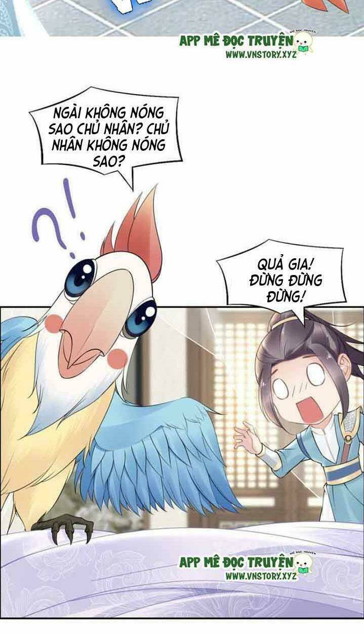 Nhất Sinh Nhất Thế Tiếu Thương Khung: Chapter 55