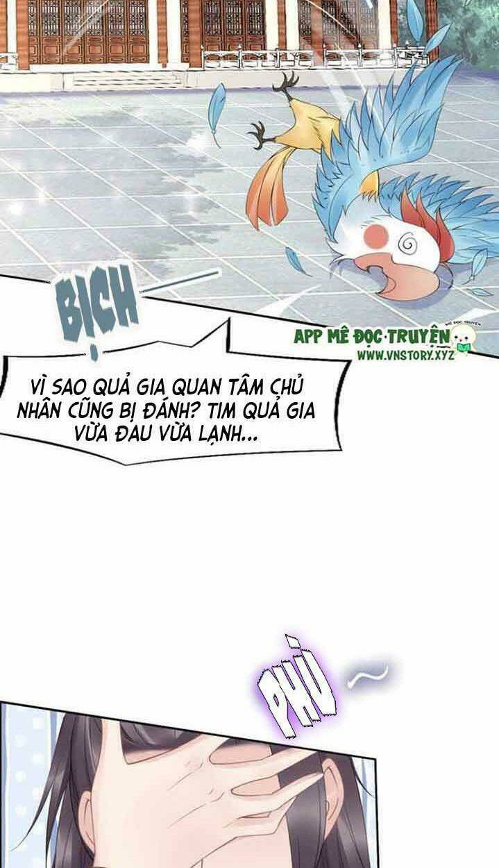 Nhất Sinh Nhất Thế Tiếu Thương Khung: Chapter 55