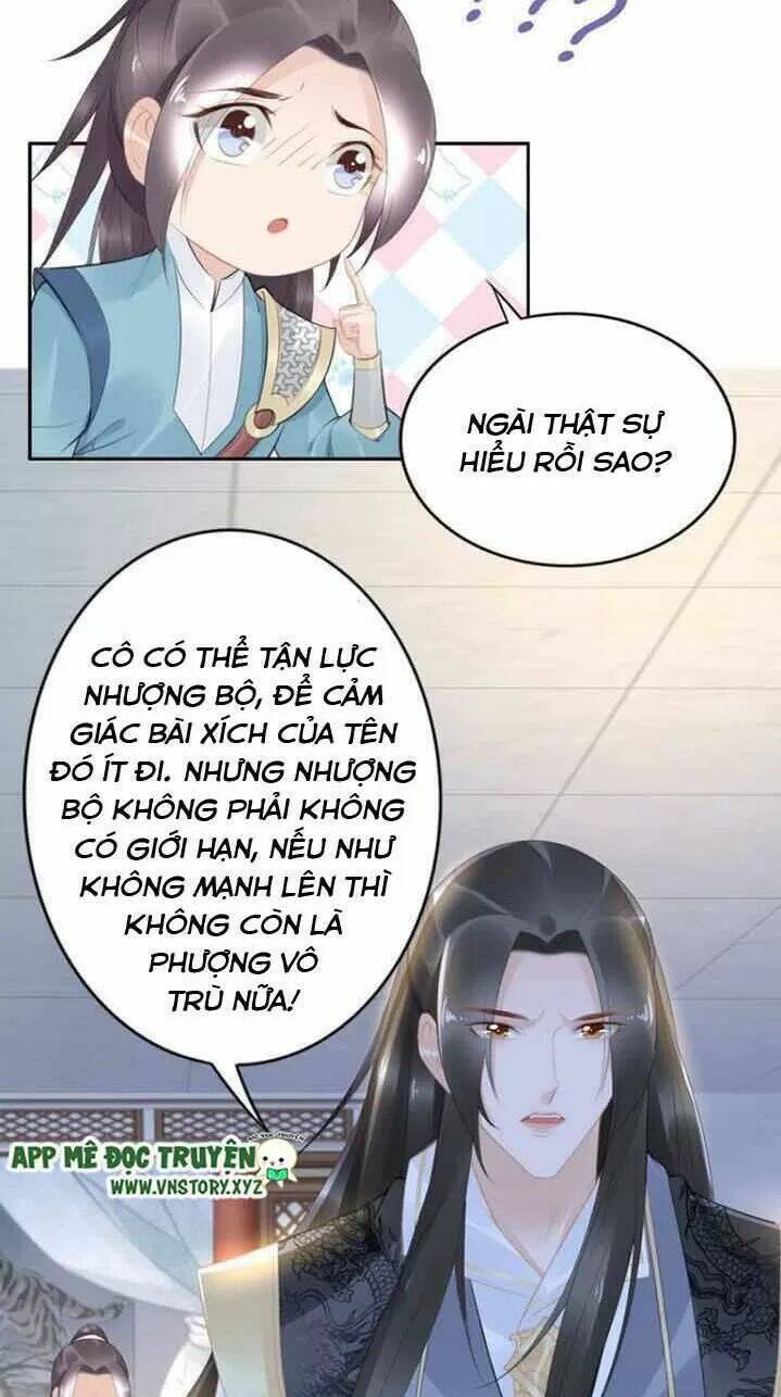 Nhất Sinh Nhất Thế Tiếu Thương Khung: Chapter 61