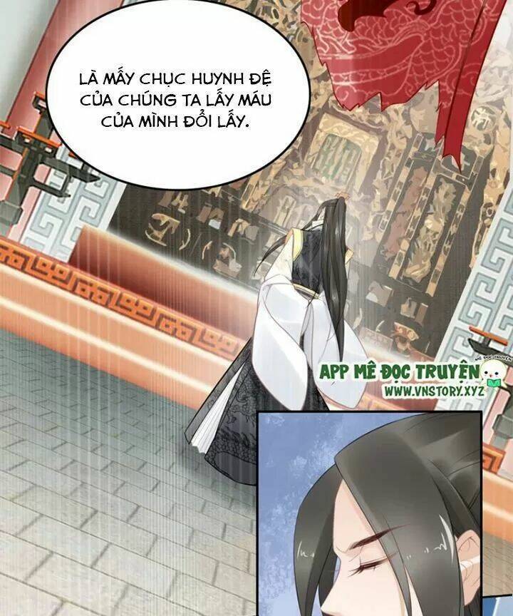 Nhất Sinh Nhất Thế Tiếu Thương Khung: Chapter 65