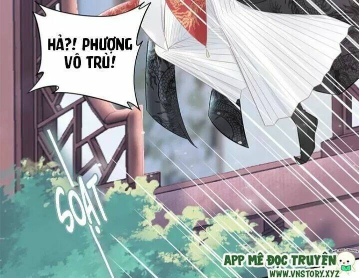 Nhất Sinh Nhất Thế Tiếu Thương Khung: Chapter 65