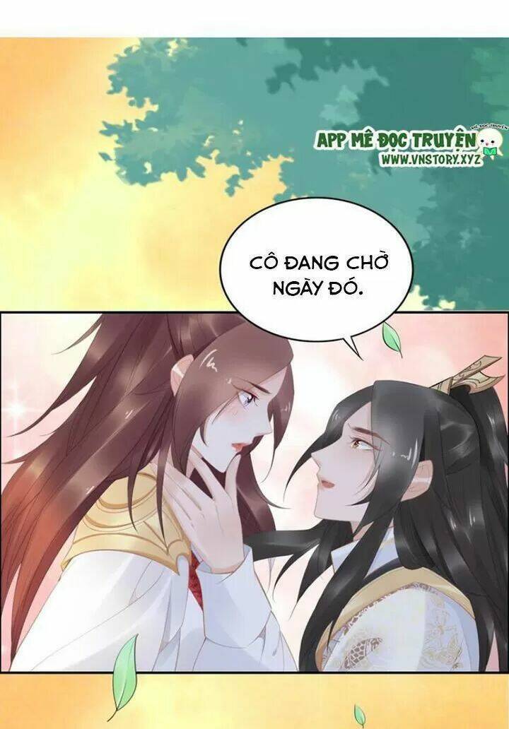 Nhất Sinh Nhất Thế Tiếu Thương Khung: Chapter 71