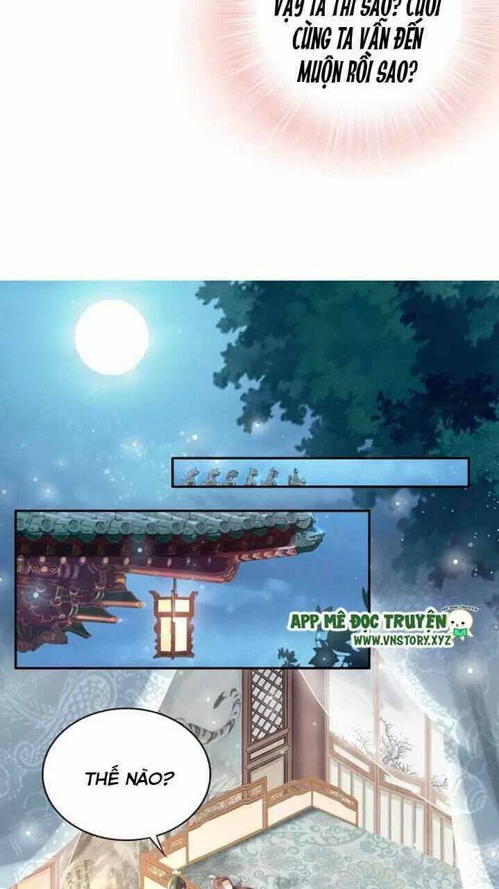Nhất Sinh Nhất Thế Tiếu Thương Khung: Chapter 74