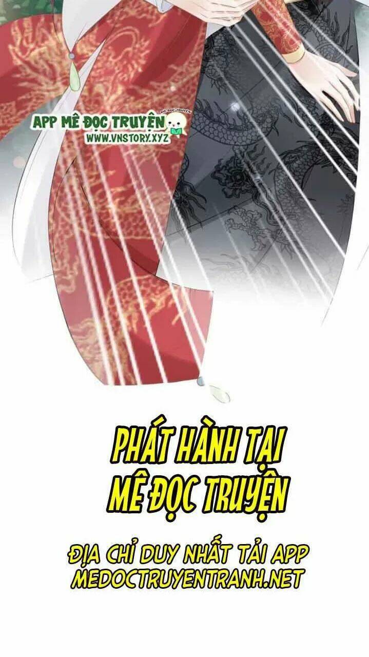 Nhất Sinh Nhất Thế Tiếu Thương Khung: Chapter 77