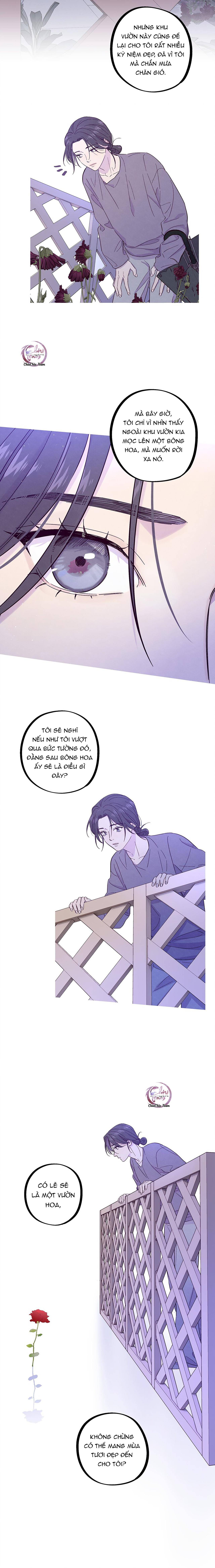 Giăng Bẫy Bác Sĩ Hồ Ly: Chapter 28