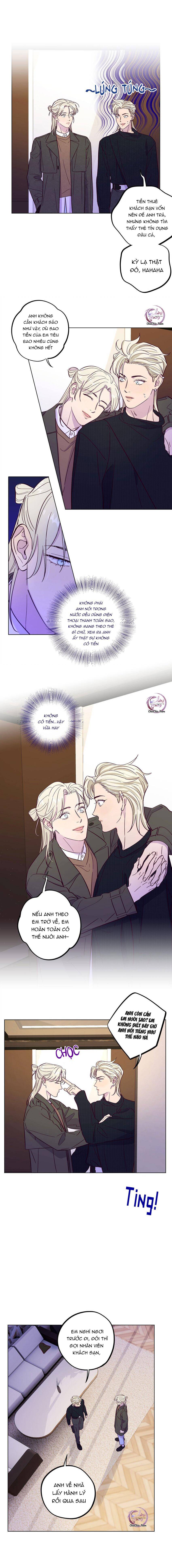 Giăng Bẫy Bác Sĩ Hồ Ly: Chapter 42
