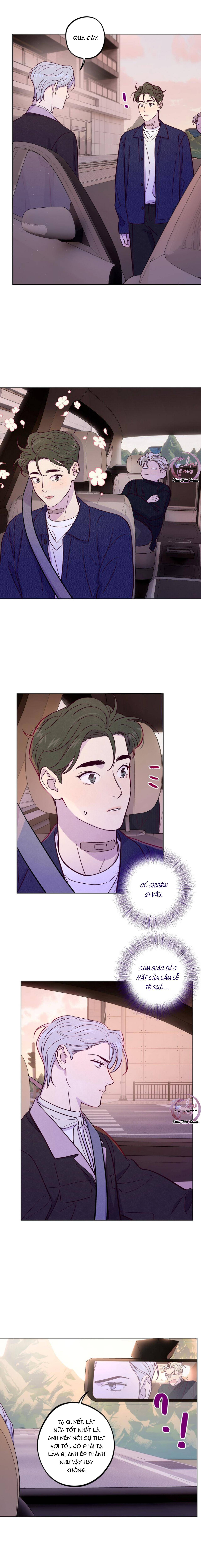 Giăng Bẫy Bác Sĩ Hồ Ly: Chapter 43