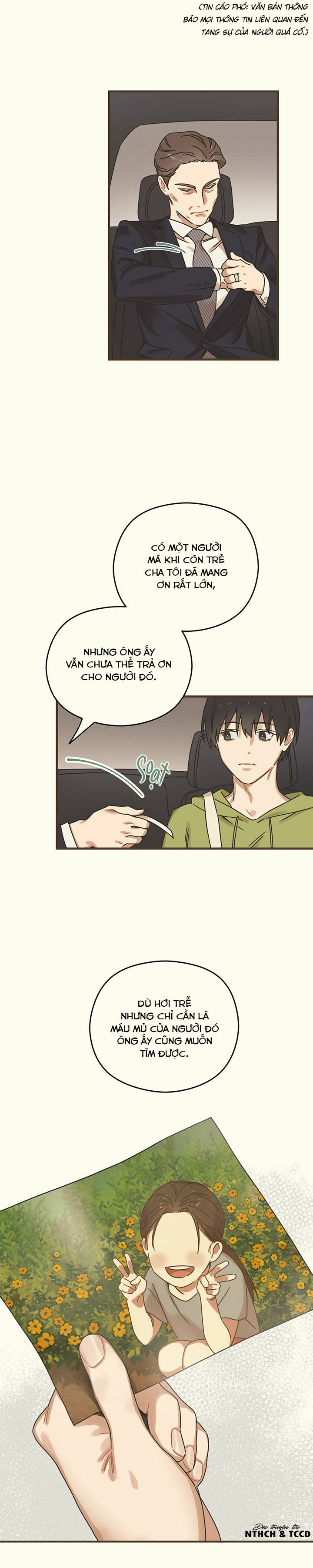 Trùng Phùng: Chapter 1
