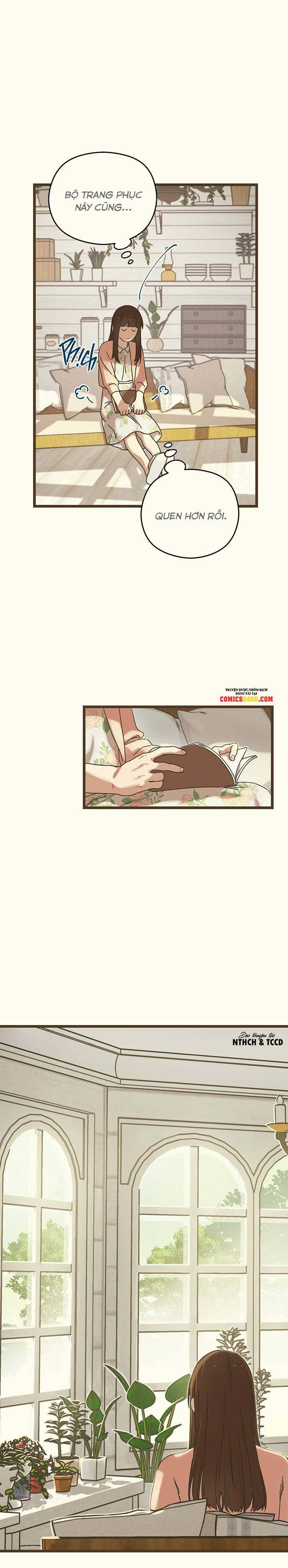 Trùng Phùng: Chapter 3