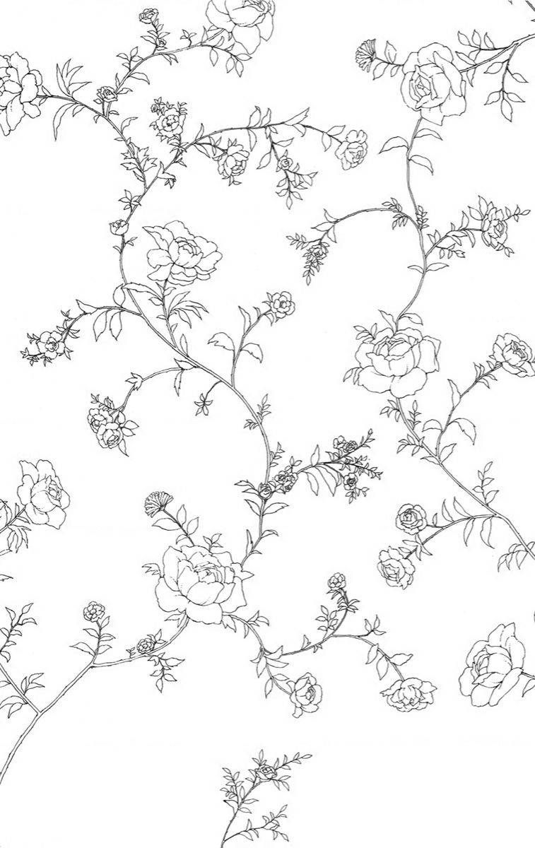 Madame Petit: Chapter 19