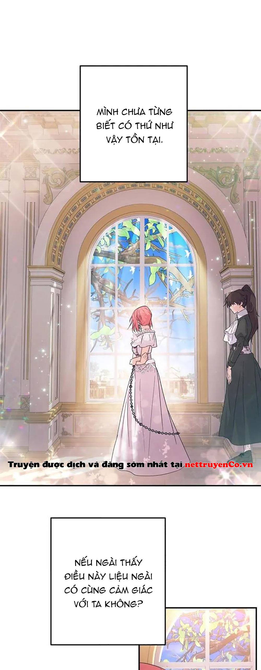 Phải lòng kẻ thù: Chapter 2
