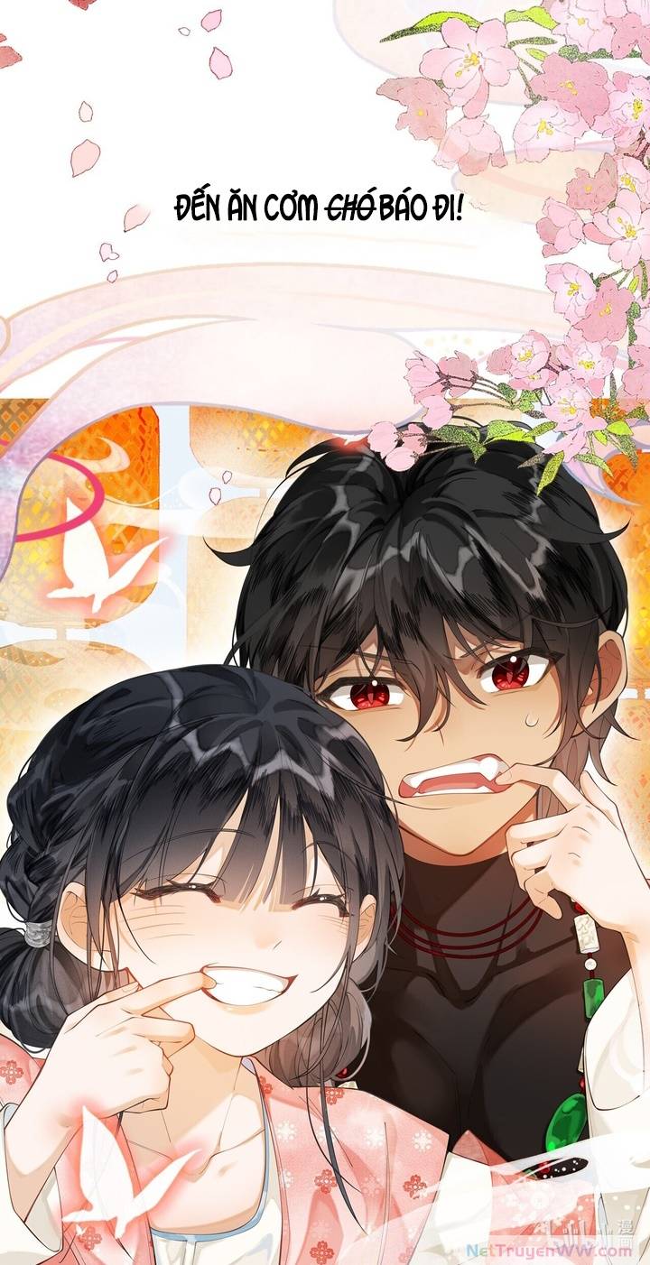 Báo đen nhỏ, cùng đi thi nào!: Chapter 0