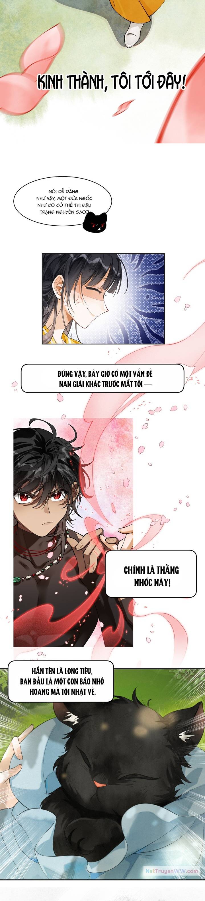 Báo đen nhỏ, cùng đi thi nào!: Chapter 0