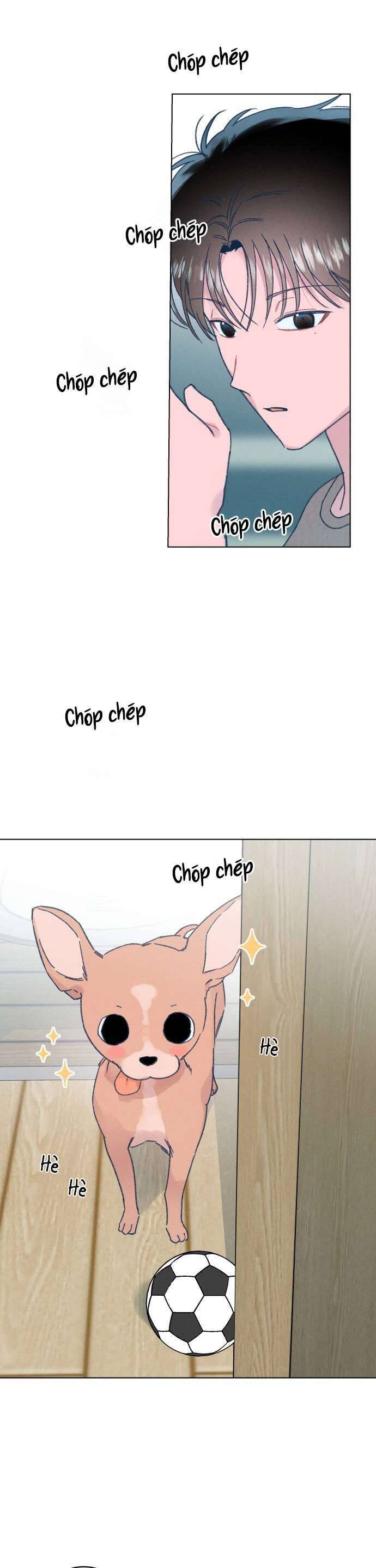 Bầu Trời Mùa Hạ Dấu Yêu: Chapter 10