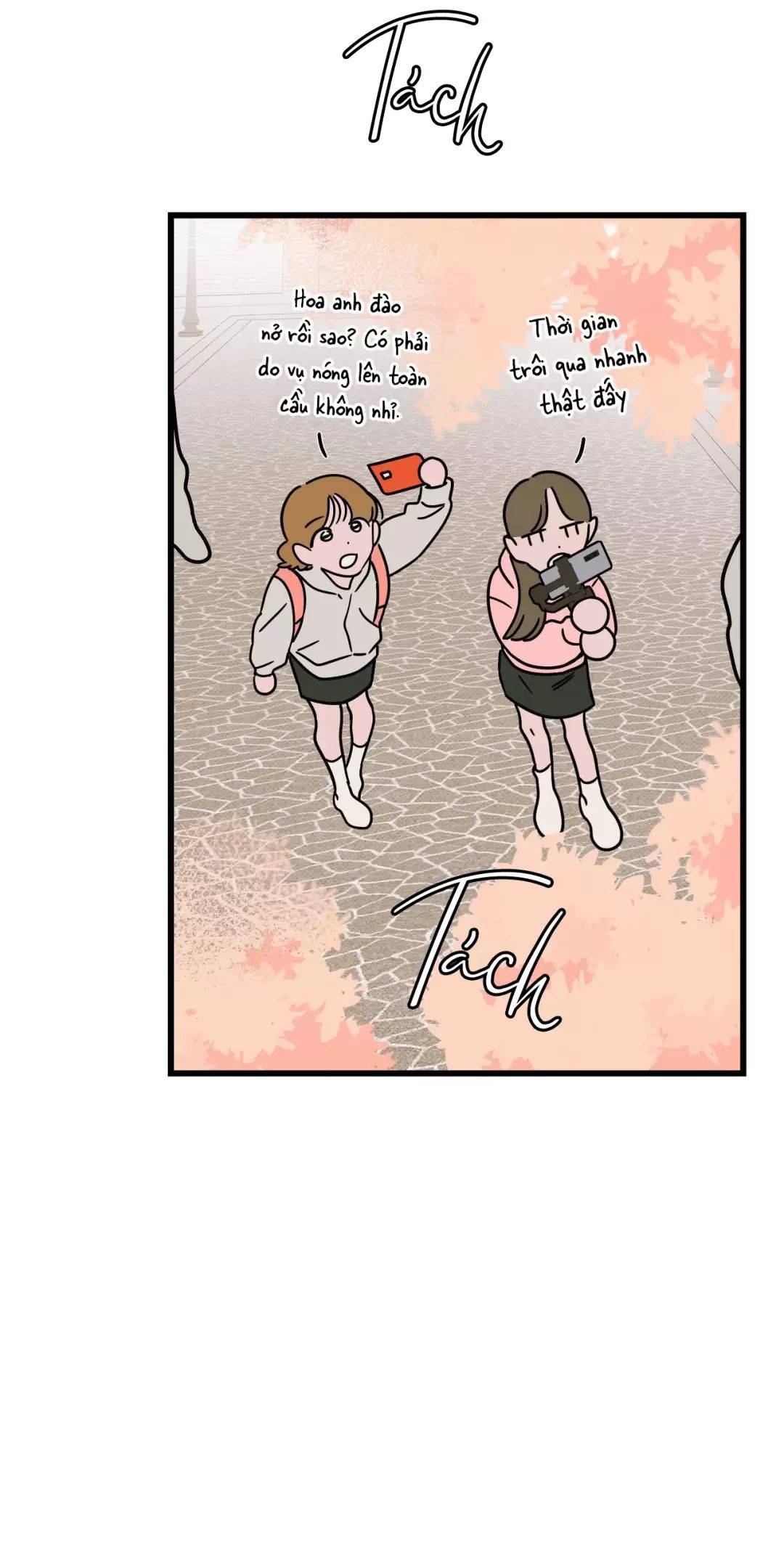 Lời Tỏ Tình Từ Con Số 0: Chapter 13