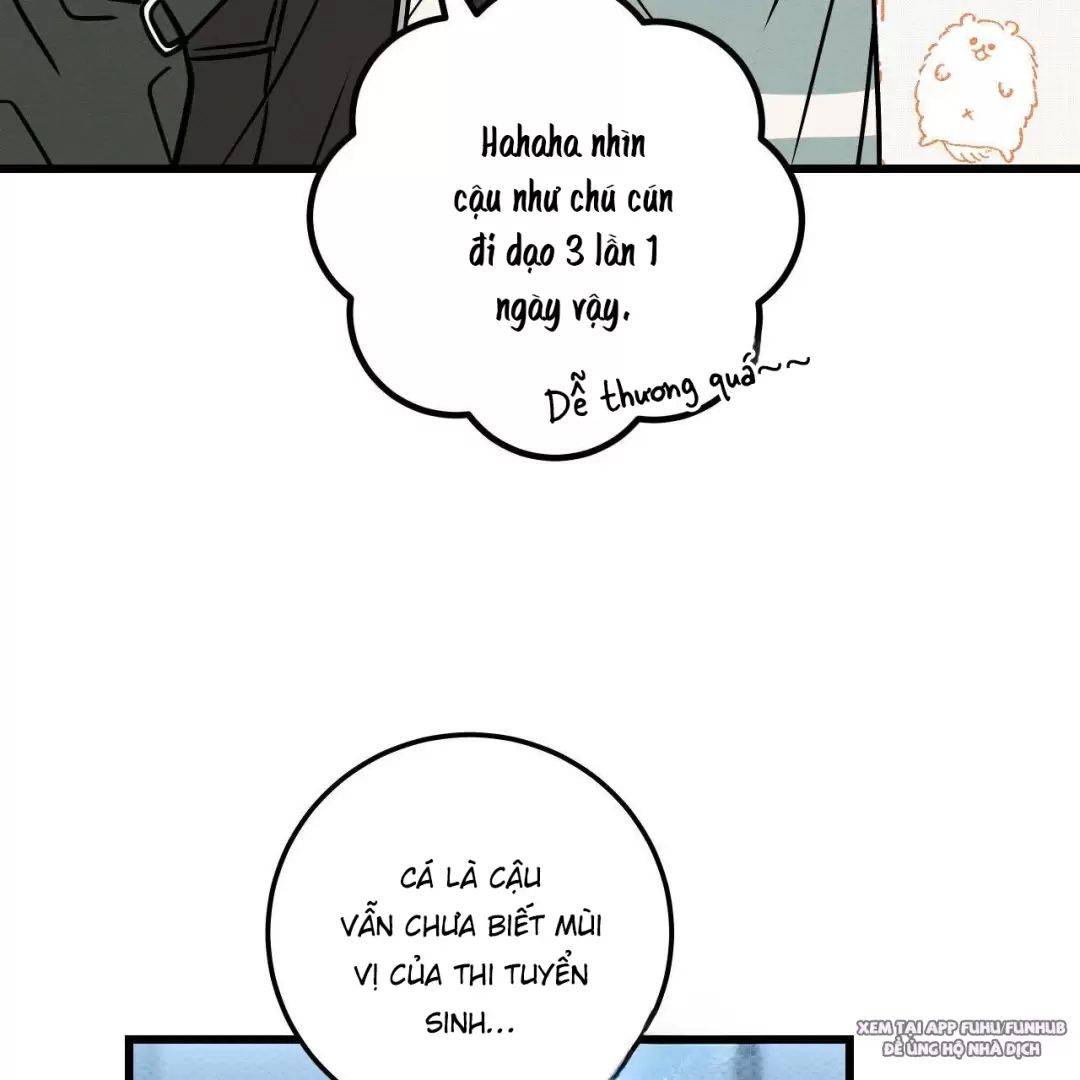 Lời Tỏ Tình Từ Con Số 0: Chapter 17