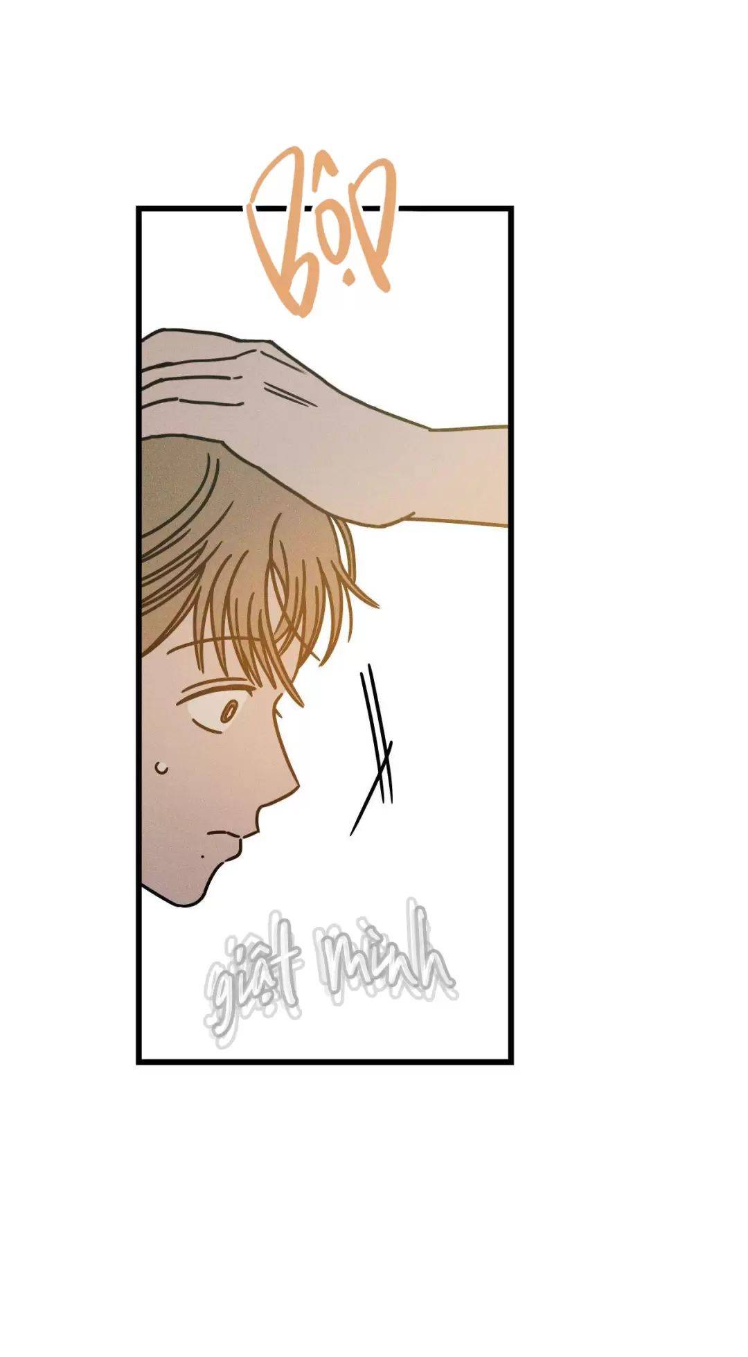 Lời Tỏ Tình Từ Con Số 0: Chapter 20
