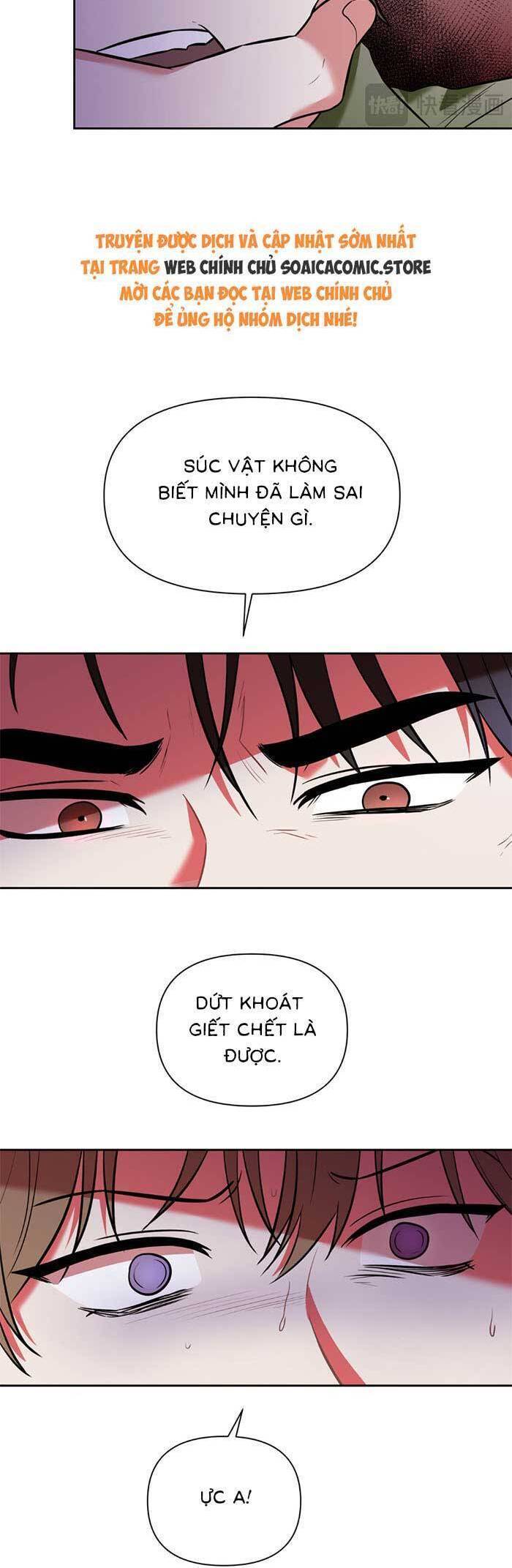 Cua Lại Vợ Yêu: Chapter 4