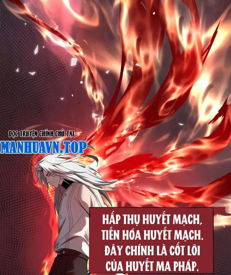 Cái Bóng Phản Bội Của Gia Tộc: Chapter 28