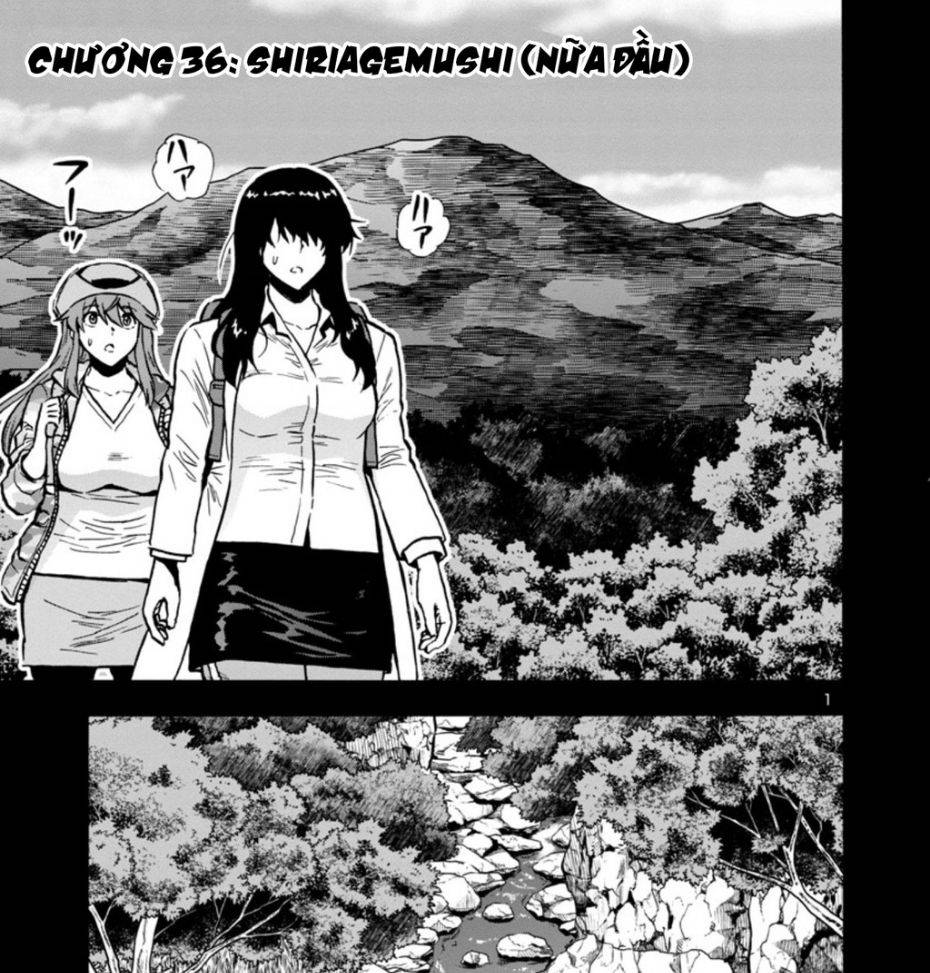 Siêu Đảo Côn Trùng: Chapter 36
