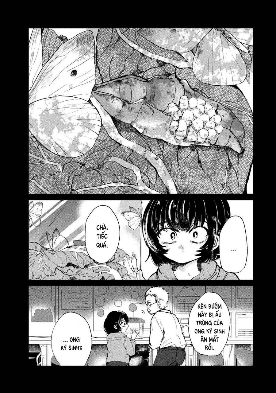 Liệu Cậu Sẽ Kết Thúc Mối Tình Này Chứ?: Chapter 3