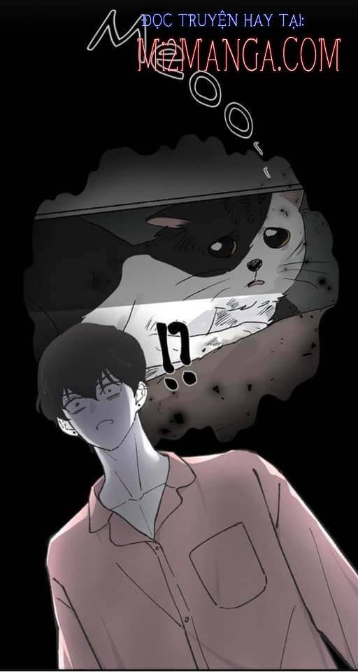 Ba Người Anh Trai: Chapter 11.5