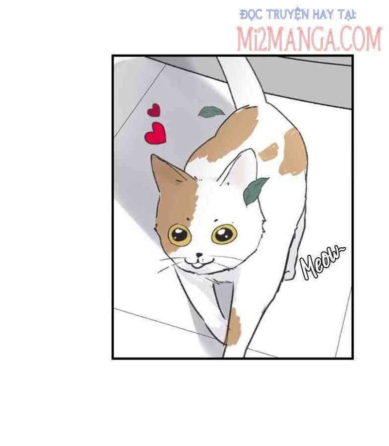 Ba Người Anh Trai: Chapter 4