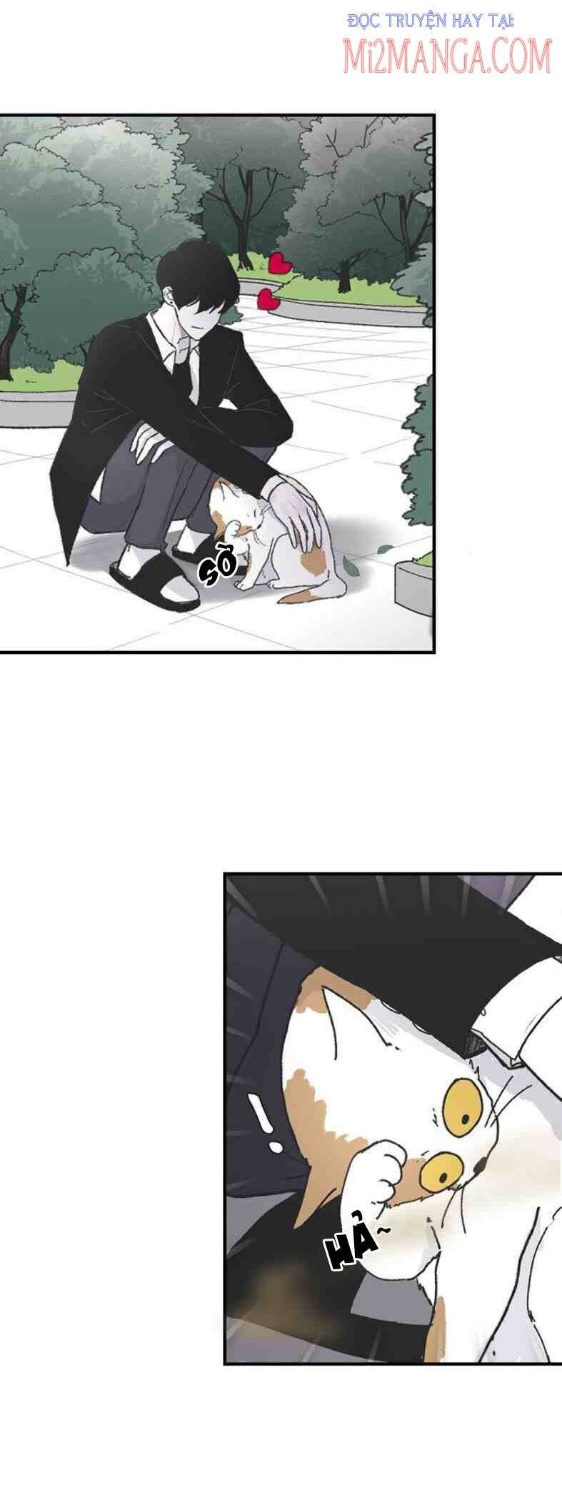 Ba Người Anh Trai: Chapter 4